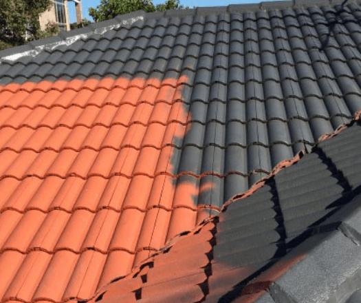 Roof Painting